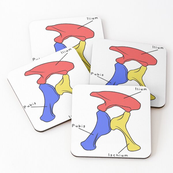 Item preview, Apatosaurus Pelvis (Colored & Labeled) designed and sold by peltigaan.