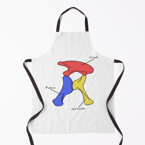 Item preview, Apatosaurus Pelvis (Colored & Labeled) designed and sold by peltigaan.