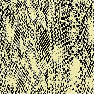Artwork thumbnail, Python Skin by DesignFantazia