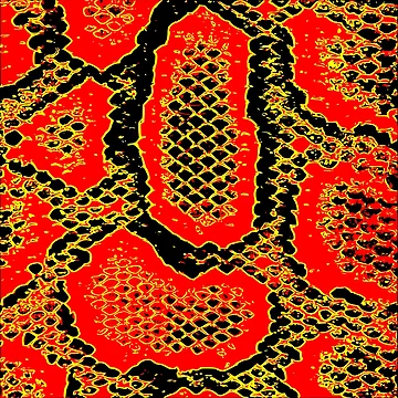 Artwork thumbnail, Python Skin by DesignFantazia