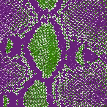 Artwork thumbnail, Python Skin by DesignFantazia