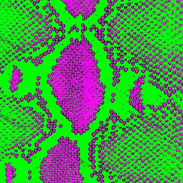 Artwork thumbnail, Python Skin by DesignFantazia