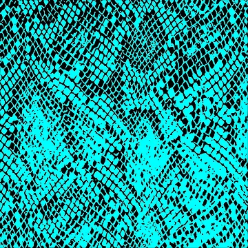 Artwork thumbnail, Python Skin by DesignFantazia