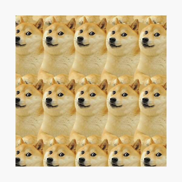 Item preview, Doge designed and sold by NayazStore.