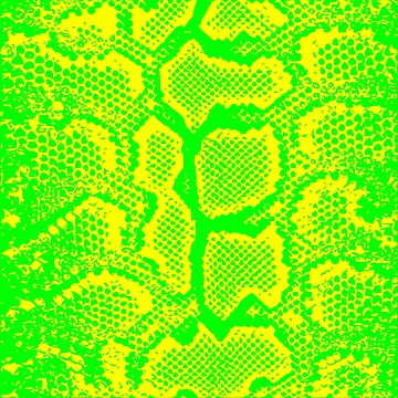 Artwork thumbnail, Python Skin by DesignFantazia