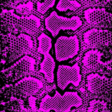 Artwork thumbnail, Python Skin by DesignFantazia