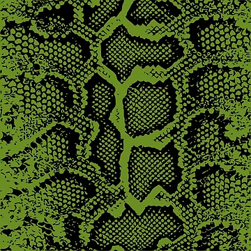 Artwork thumbnail, Python Skin by DesignFantazia