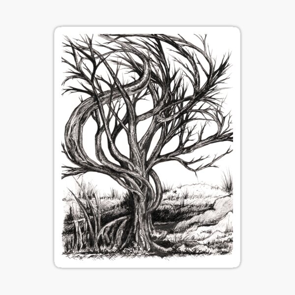 Twisted Tree, Ink Drawing Sticker