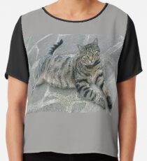 Katzenfreund Chiffontop