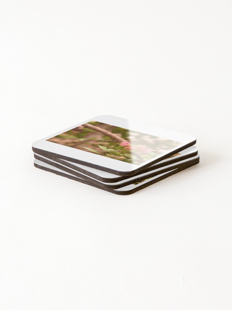 Thumbnail 4 of 5, Coasters (Set of 4), Spring designed and sold by Erica7starr.