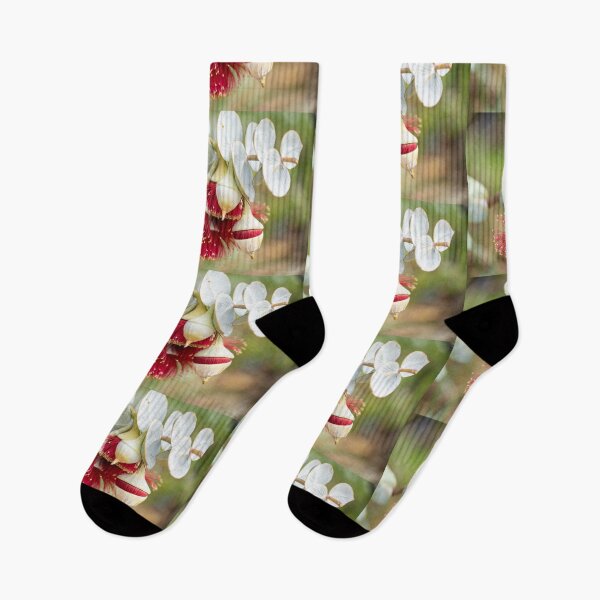 Item preview, Rose Mallee Bunch designed and sold by SallyB.Photography.