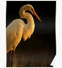 White Bird Poster