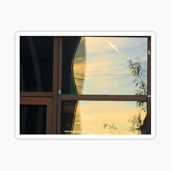 RE flections tree in door frame Sticker