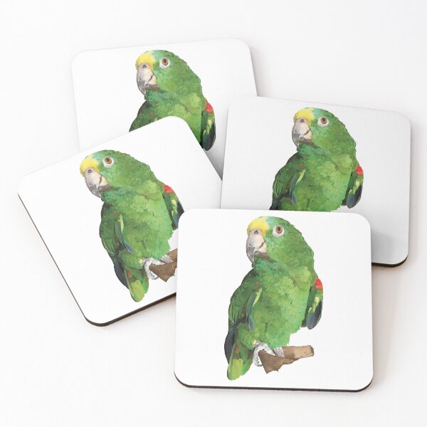 Item preview, real amazon parrot designed and sold by obscurite.