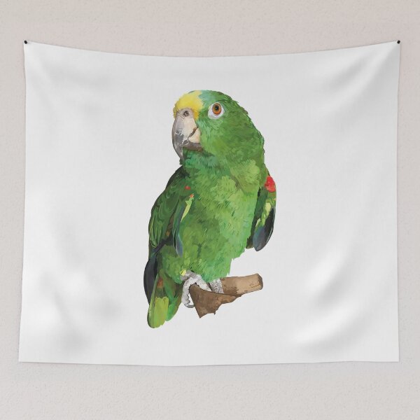 Item preview, real amazon parrot designed and sold by obscurite.
