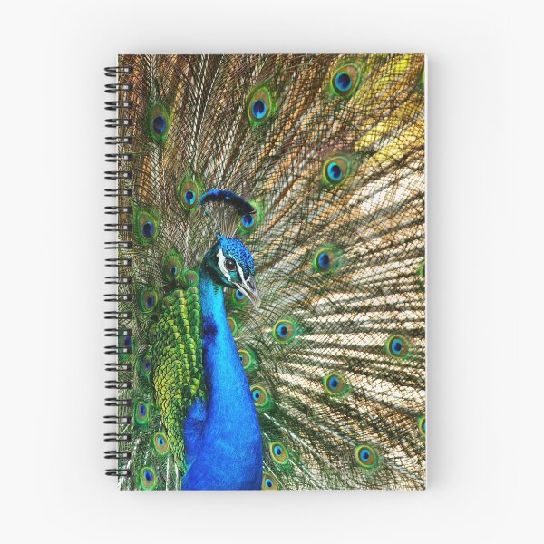 Item preview, Blooming Peacock designed and sold by Texas Enfocus Photography.