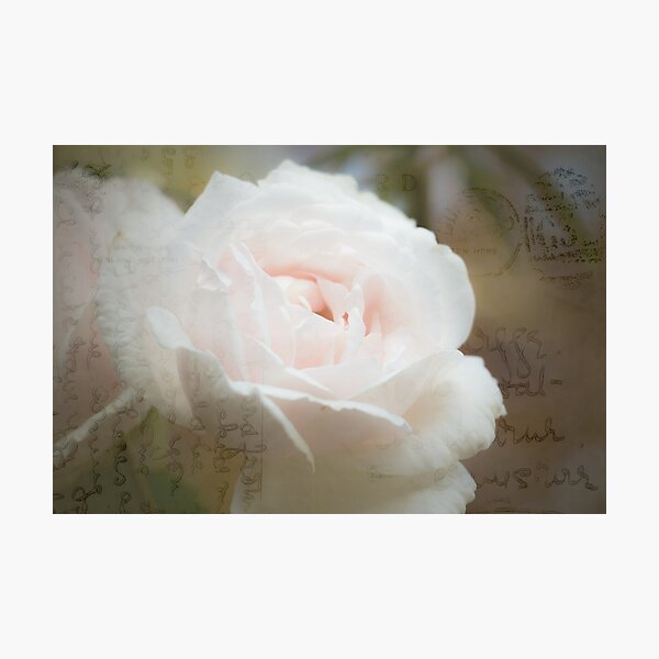 Item preview, Carta de amor de Rose designed and sold by CallyM.