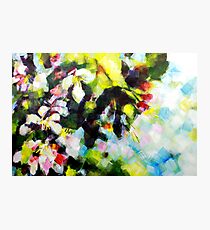 Tree Blossom Painting by Samuel Durkin Photographic Print