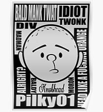 Pilky01 Poster