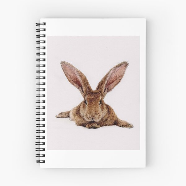 Item preview, Flopsy Bunny designed and sold by Leah Amir.