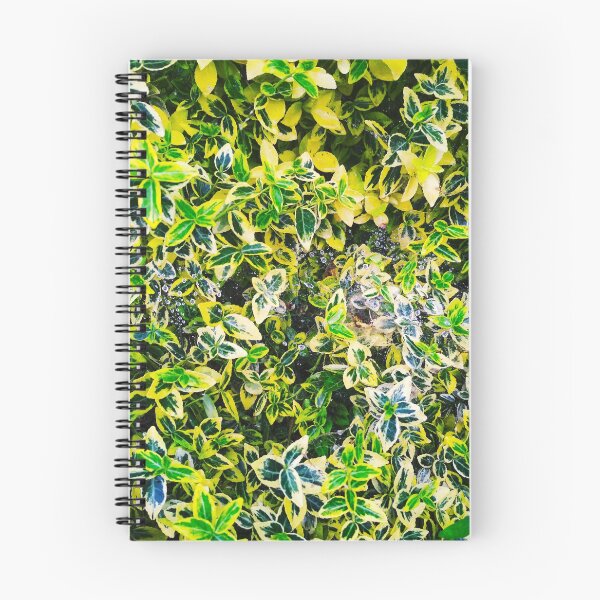 Item preview, A plant covered with drops after the rain hanging down on the spider's web, natural background  designed and sold by helenkaiy.