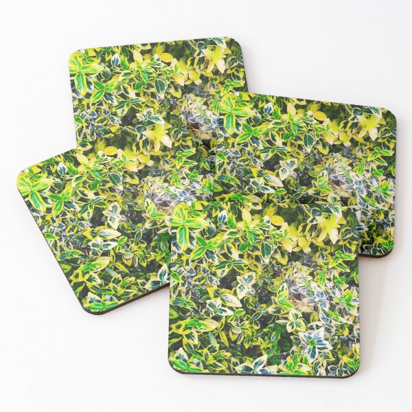 Item preview, A plant covered with drops after the rain hanging down on the spider's web, natural background  designed and sold by helenkaiy.