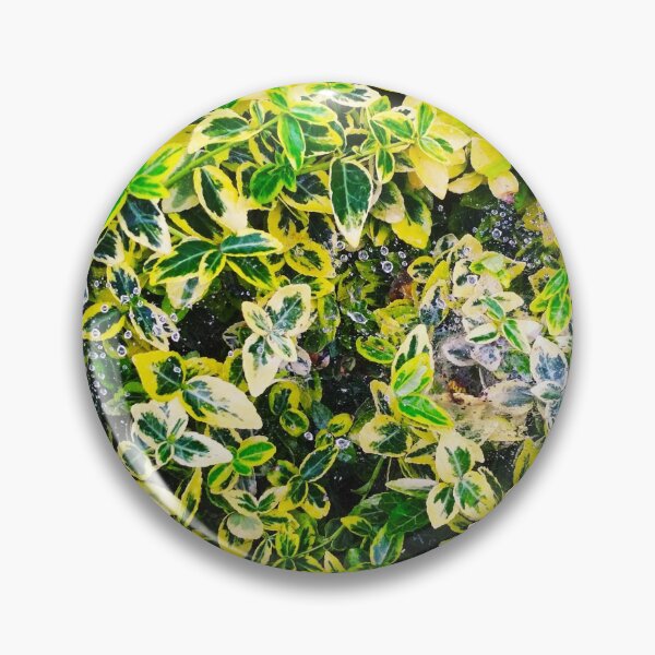 Item preview, A plant covered with drops after the rain hanging down on the spider's web, natural background  designed and sold by helenkaiy.
