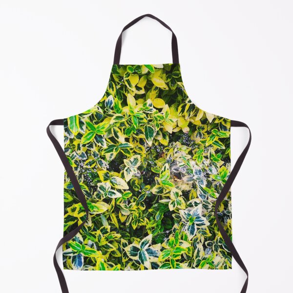 Item preview, A plant covered with drops after the rain hanging down on the spider's web, natural background  designed and sold by helenkaiy.
