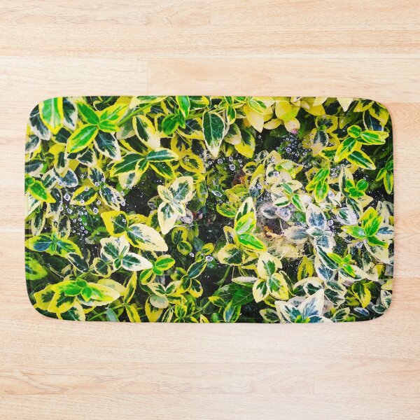 Item preview, A plant covered with drops after the rain hanging down on the spider's web, natural background  designed and sold by helenkaiy.