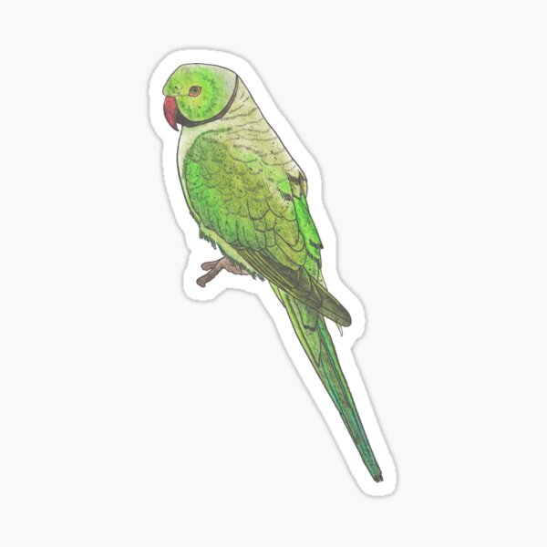 3D Puffy Bird Stickers for Kids with Hummingbird Parrot Parakeet and Cockatiel Stickers for Crafts Scrapbooking Laptop and Bird House