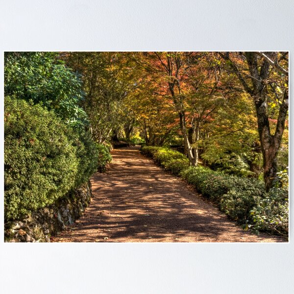 Item preview, Garden Driveway designed and sold by Peter Hocking.