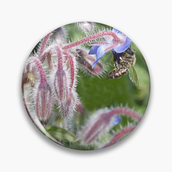 Item preview, Borage bee. designed and sold by Paul Pasco.