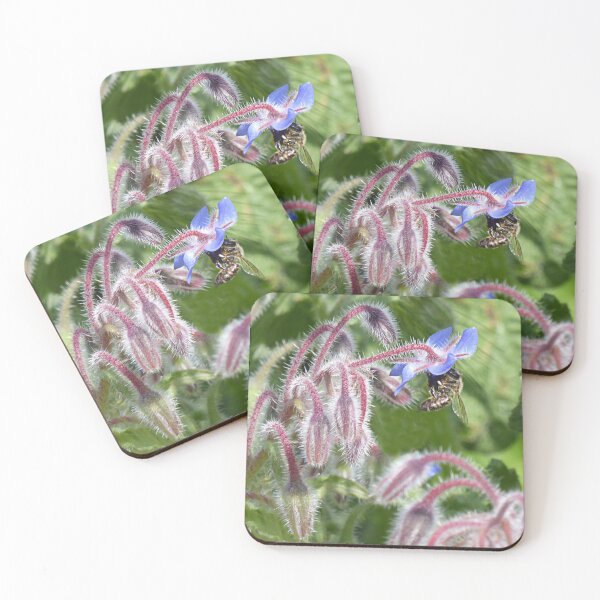 Item preview, Borage bee. designed and sold by Paul Pasco.