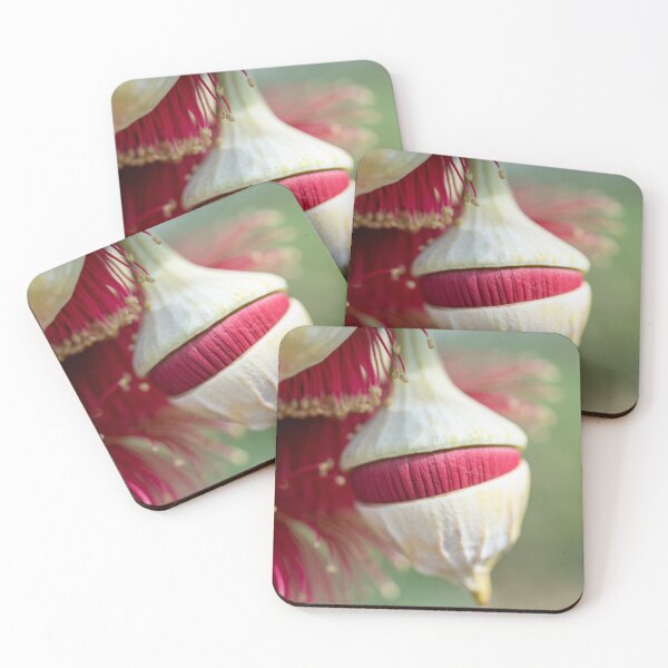 Item preview, Budding Expectations designed and sold by SallyB.Photography.