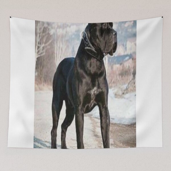 Item preview, cane corso designed and sold by shopvision.