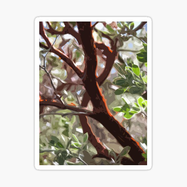 Manzanita Backlight Sticker