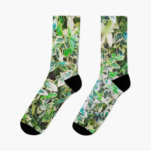 Item preview, A plant covered with drops after the rain hanging down on the spider's web, natural background  designed and sold by helenkaiy.