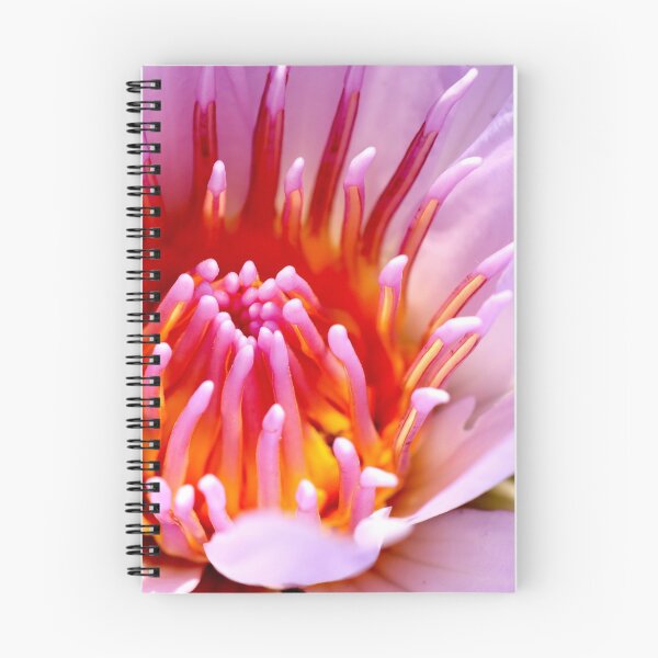 Item preview, Inside the Water Lily designed and sold by Geoff Treagus.