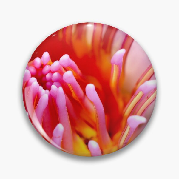 Item preview, Inside the Water Lily designed and sold by Geoff Treagus.