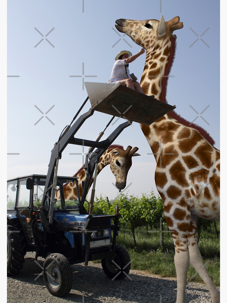 tickle-a-giraffe-sticker-for-sale-by-mythos57-redbubble