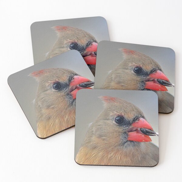 Item preview, Female Northern Cardinal designed and sold by maxinemwhite.