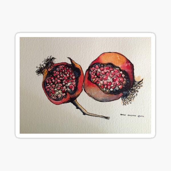 Pomegranate. Pen and wash. Sticker