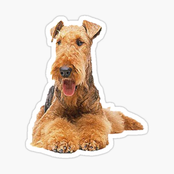 airedale gifts