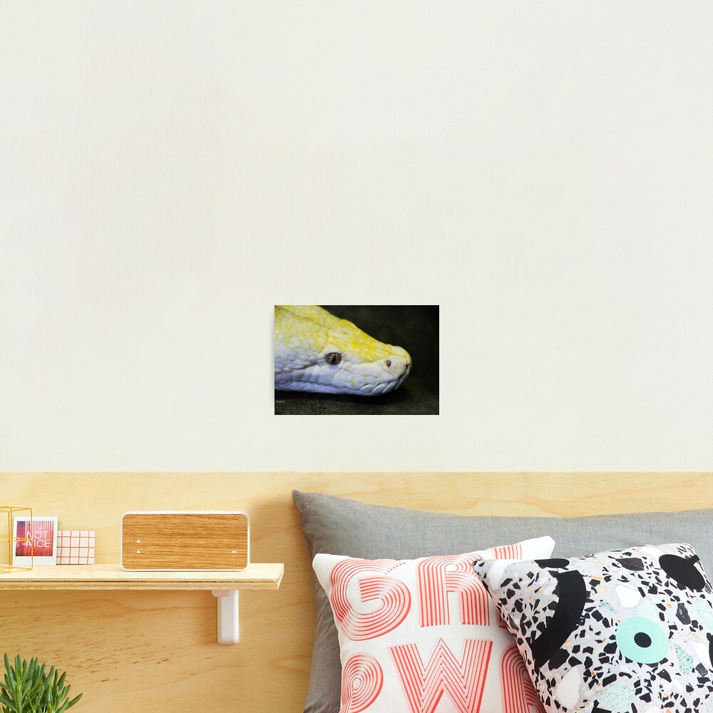 Item preview, Photographic Print designed and sold by heatherfriedman.