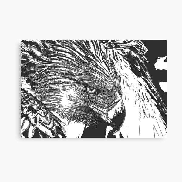 Philippine Eagle Canvas Prints for Sale