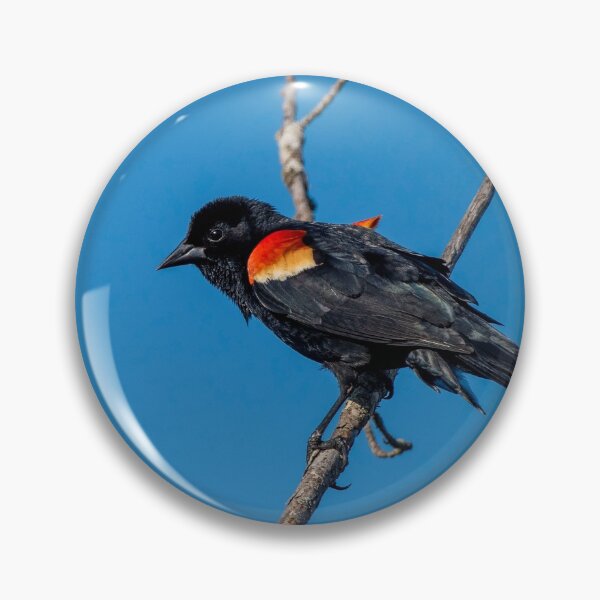 Item preview, birds singing designed and sold by RoryTrudeau.