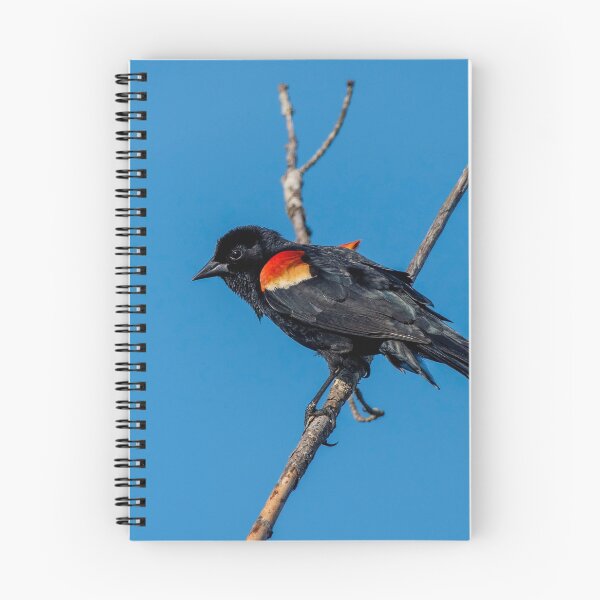 Item preview, birds singing designed and sold by RoryTrudeau.