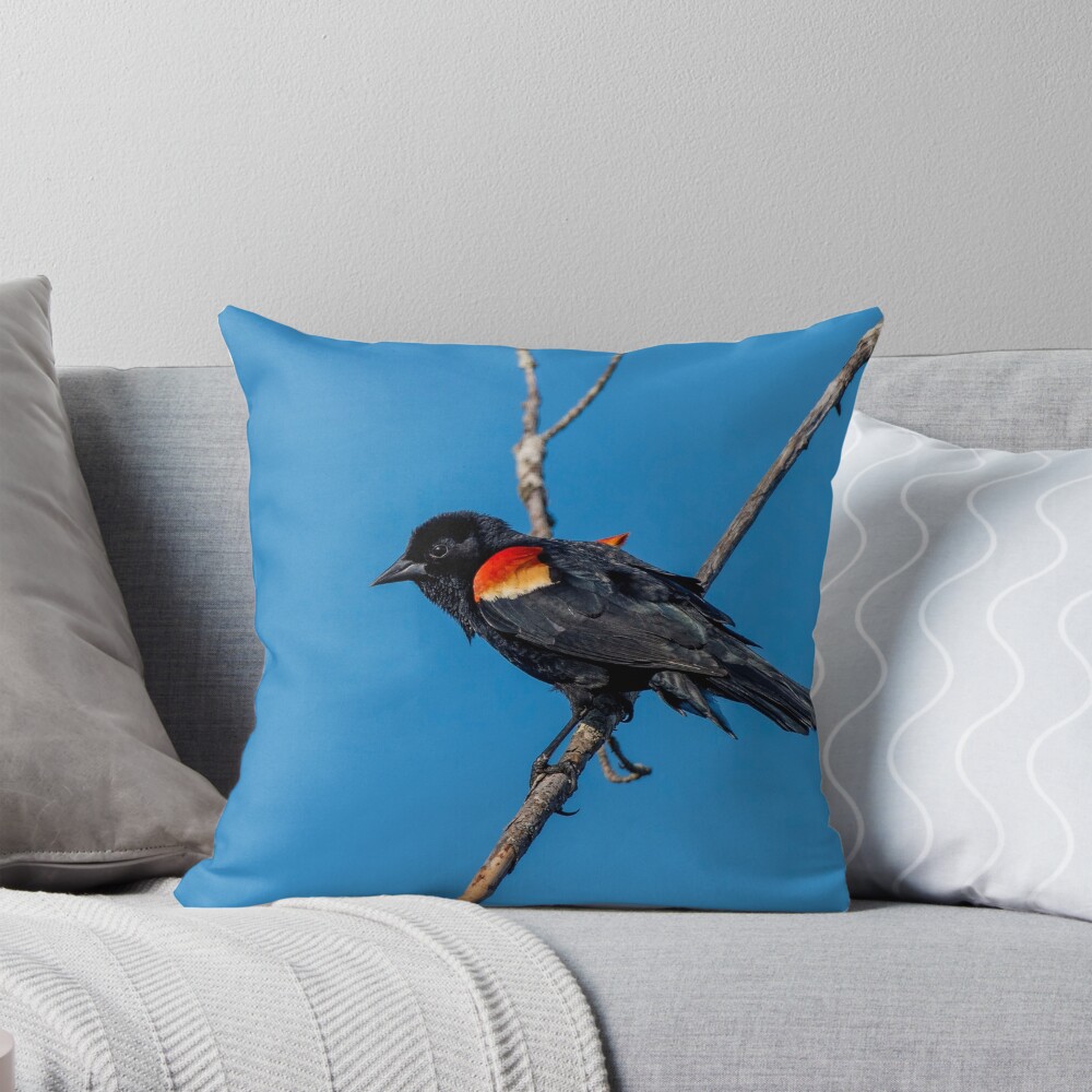 Item preview, Throw Pillow designed and sold by RoryTrudeau.