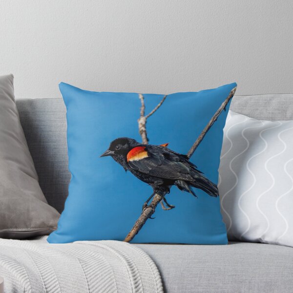 Item preview, birds singing designed and sold by RoryTrudeau.