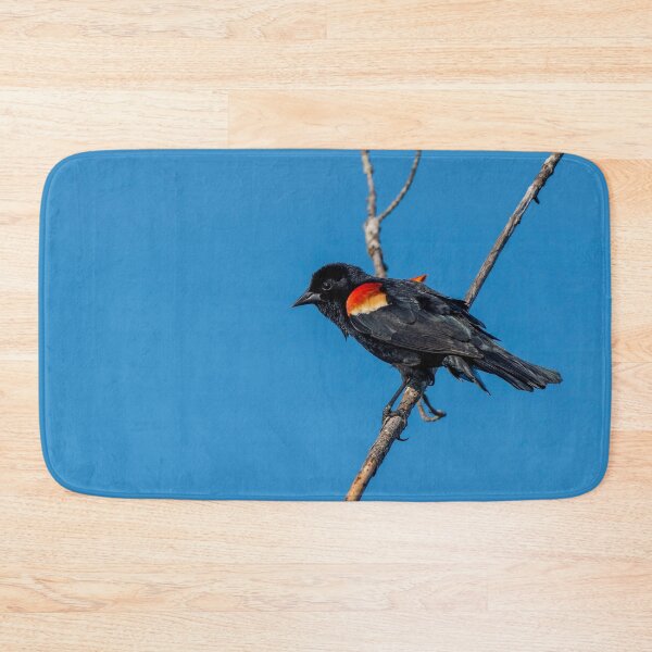 Item preview, birds singing designed and sold by RoryTrudeau.